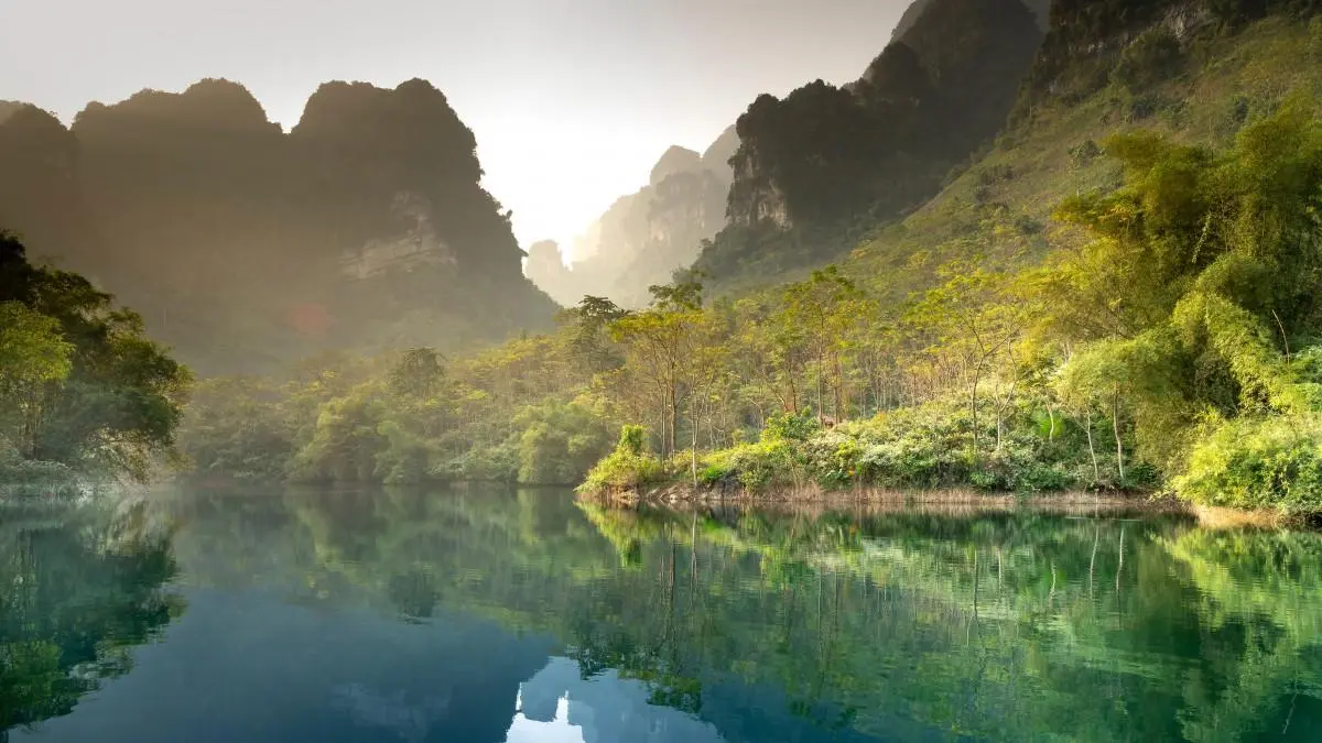 高标准高效